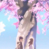 「书生」