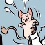 我跳狗龙最牛逼