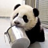 小池