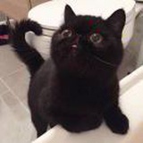 宝贝