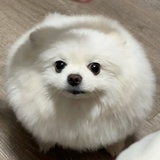 山后是海