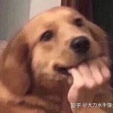 里约热内卢的奶