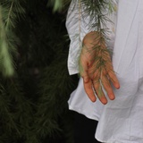木木家