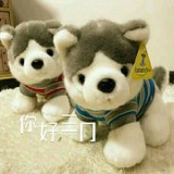 劉世權為夢起飛