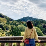 anita小毛