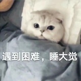 大明湖畔种茄子
