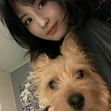 乔伊