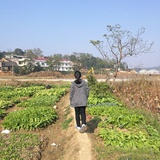 青青子衿