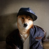 鸾