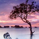 小洛子爱生活