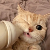 akdkfkfkmtm