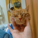 陈二妞