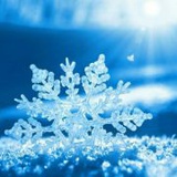 暮雪上的晨星123