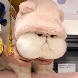 指路为码