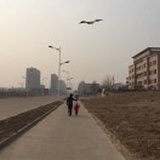 至穹苍