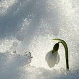 前🔙落地之...🐝🐾🐾