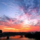油焗小蘑菇
