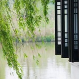 以花为貌