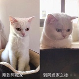 语末