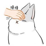 荔枝荔枝
