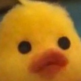 匿迹