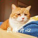 袁佳庆