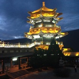 枇杷树