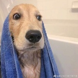 没有故事的女人