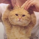 是个小宝啊