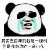 飞器来去🦊