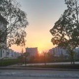 殇