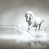 永恒