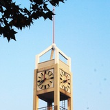 GSer