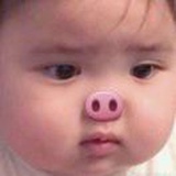 一只嘎