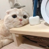 ---