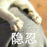 土豆饼干ww