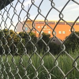 迎着夏风往前走