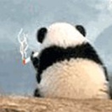 大吃一鲸