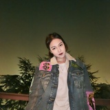 鹿