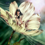 小精灵