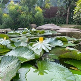 那边的风景～戴