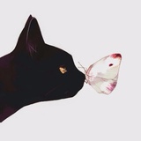 🌙