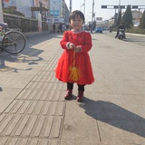 语911宝
