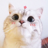 o( ❛ᴗ❛ )o。