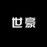 世豪车品