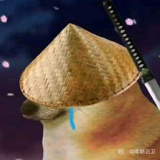 进步虚空