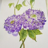 小树森森