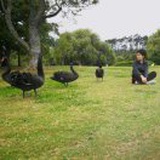 齐钧英