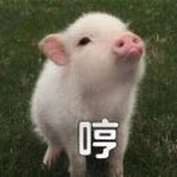 小瓶盖