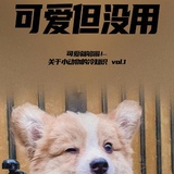 黑熊